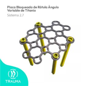 Placa Bloqueada de Rótula Ángulo Variable de Titanio